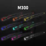 Variant image for M300